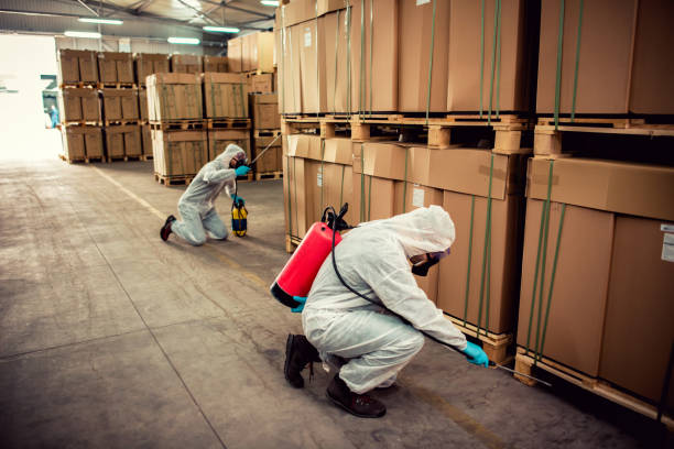 Best Wasp Removal Services  in Cumberland Hill, RI