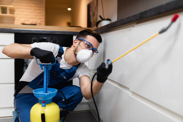 Best Pest Removal Services  in Cumberland Hill, RI