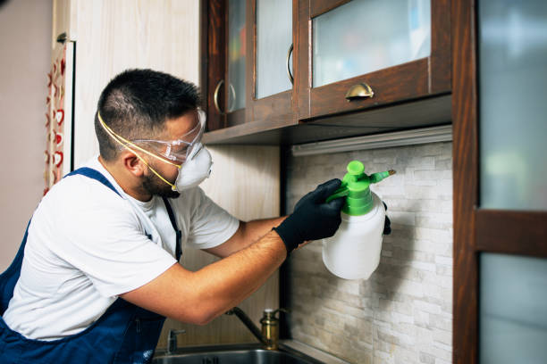 Best Pest Control for Restaurants  in Cumberland Hill, RI