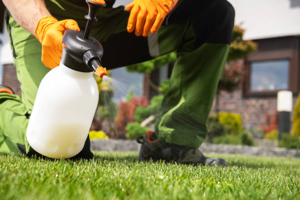 Best Pest Inspection Near Me  in Cumberland Hill, RI