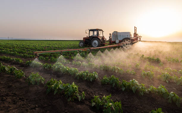 Best Mosquito Control Services  in Cumberland Hill, RI