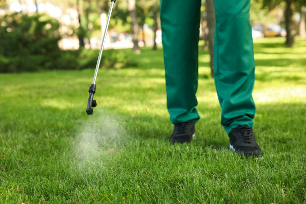 Best Ant Control Services  in Cumberland Hill, RI
