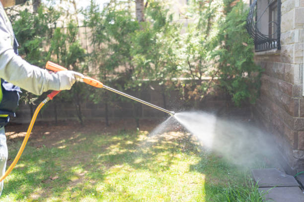 Best Pest Control Near Me  in Cumberland Hill, RI