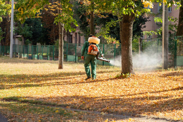 Trusted Cumberland Hill, RI Pest Control Experts