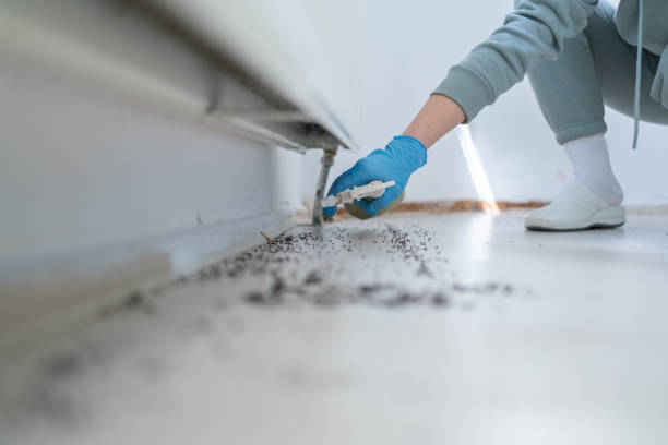 Best Affordable Pest Control Services  in Cumberland Hill, RI